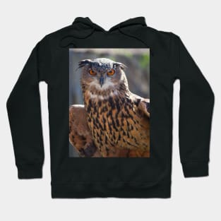 Eagle Owl Hoodie